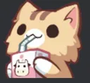 SP_KittySip