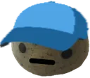 roc_cap