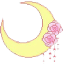 prettymoon Discord emoji
