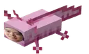 Hampton_Axolotl Hampton_Axolotl