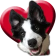 wfoxLove