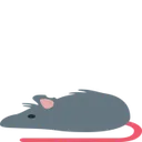 rat_flat