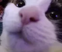 smo