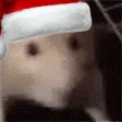 ratJamSanta