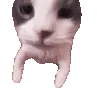 cathugandkiss