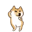 dogeDancin