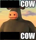 safencow