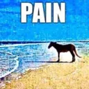 horsepain horsepain