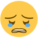 y_roblox_cry Discord emoji