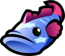 splashtailIndigo