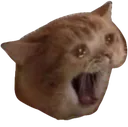 AAAAAAA