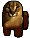 floppasus