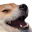 542321885476552734