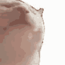 KittyVibing Discord Emoji