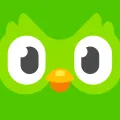 Duolingo Duolingo
