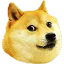 doge
