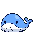 primoWhale primoWhale