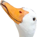 Hmmm
