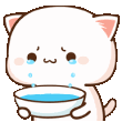 PeachCat_Tears_LP