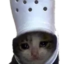 CryCroc