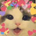 Love_KittyBomb_LP