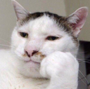 CH_waiting Discord emoji