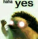 hyperyes hyperyes