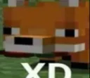 XD XD
