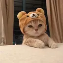 Pensando