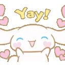z_cinna_yay