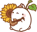 zmolangsunflower