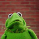 kermit