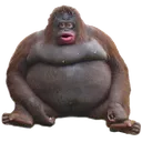 monke