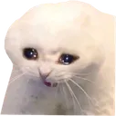 aa