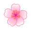 yCherryBlossomFlower Discord emoji