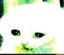 imnotalittlepissboy