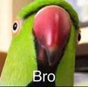 bro