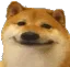 744617409419149495