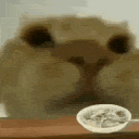cateat