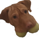 :doog: