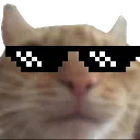 swagdealwithit