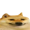 Doggo