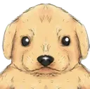 doggo