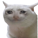 CH_catcry Discord emoji
