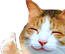 happythumbsup Discord emoji