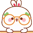 bunny