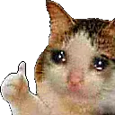 sadthumbsup