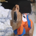 PP_goludog Discord emoji