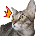 sojunani Discord Emoji