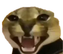 angryflopa